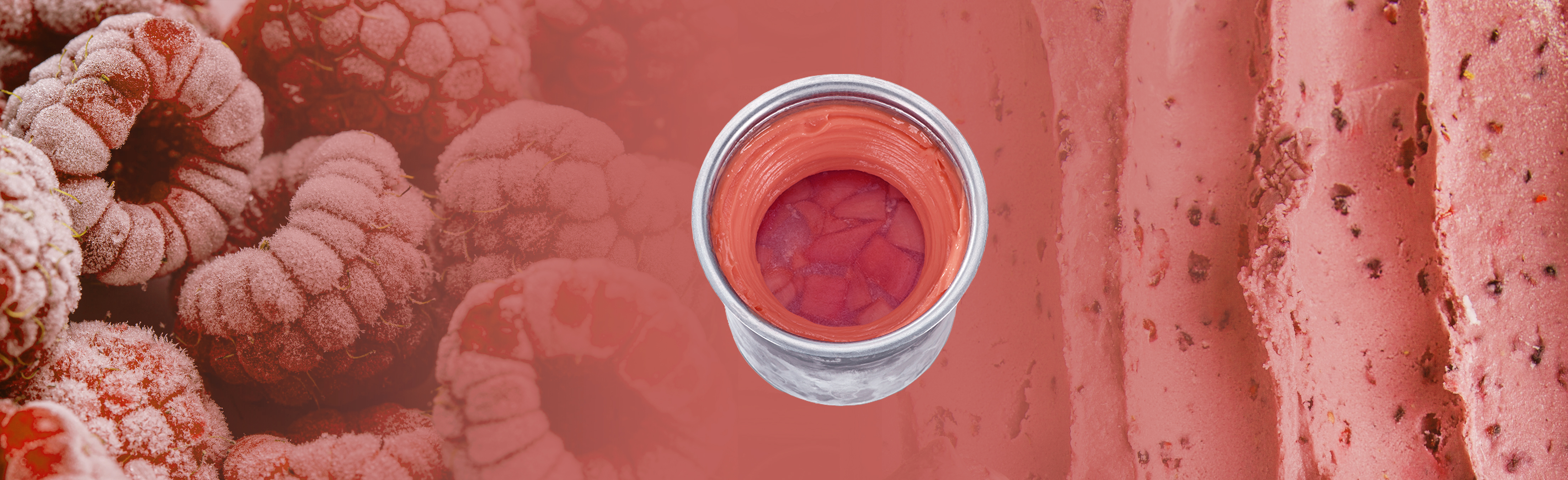 PACOJET_HEROBANNER TECNICO_sorbetto gelato.jpg.jpg